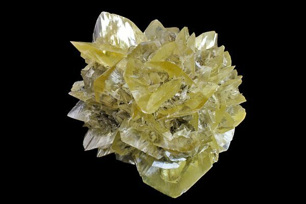 Twinned selenite crystals from the Red River Floodway in Canada